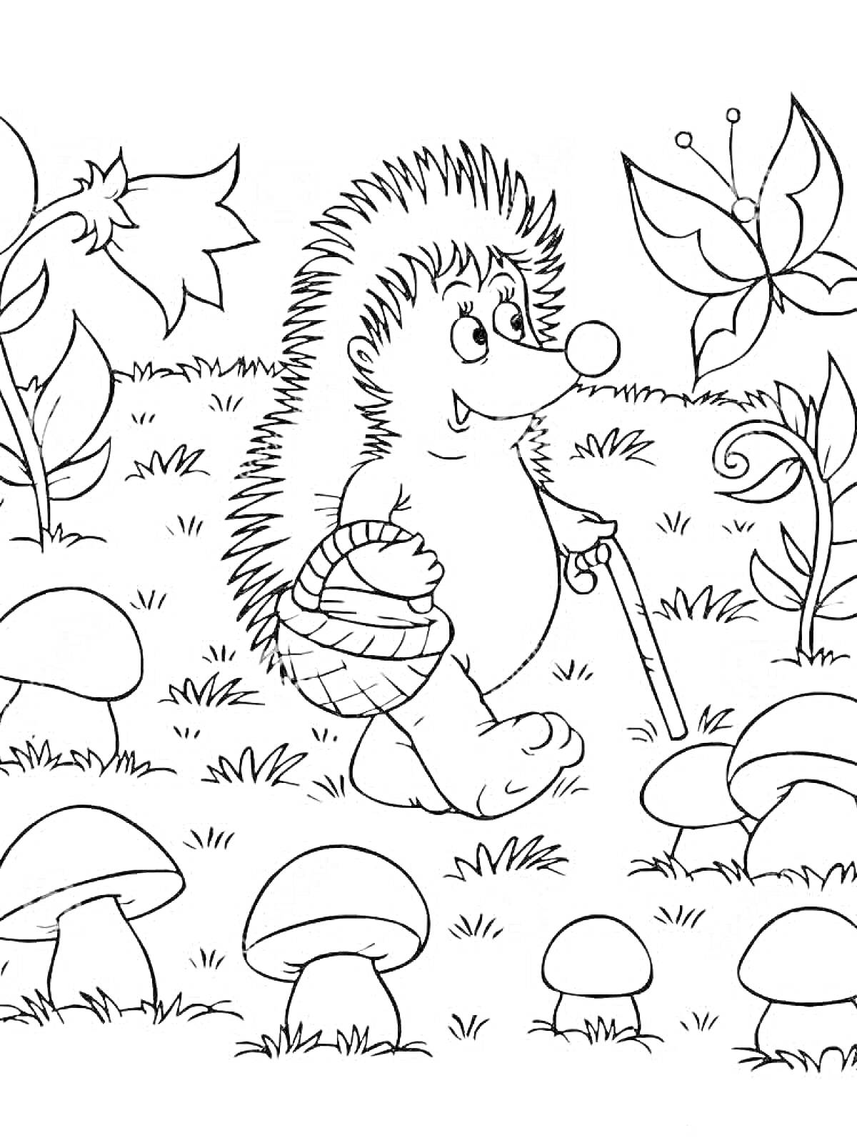 Раскраска Ёжик с корзиной и палкой, грибы и бабочка на поляне