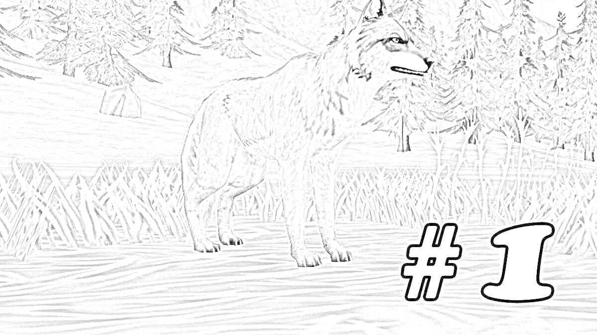 Раскраска Волк на лугу около леса и гор