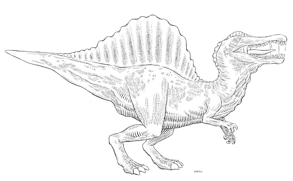 Спинозавр в полный рост