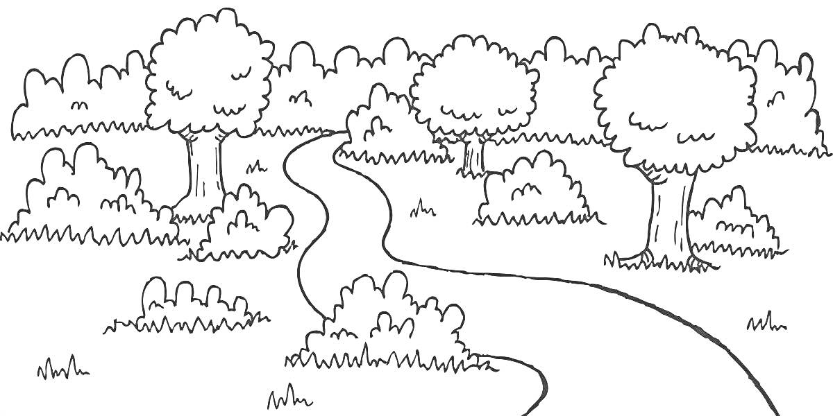 Раскраска Лесная полянка с деревьями, кустами и тропинкой