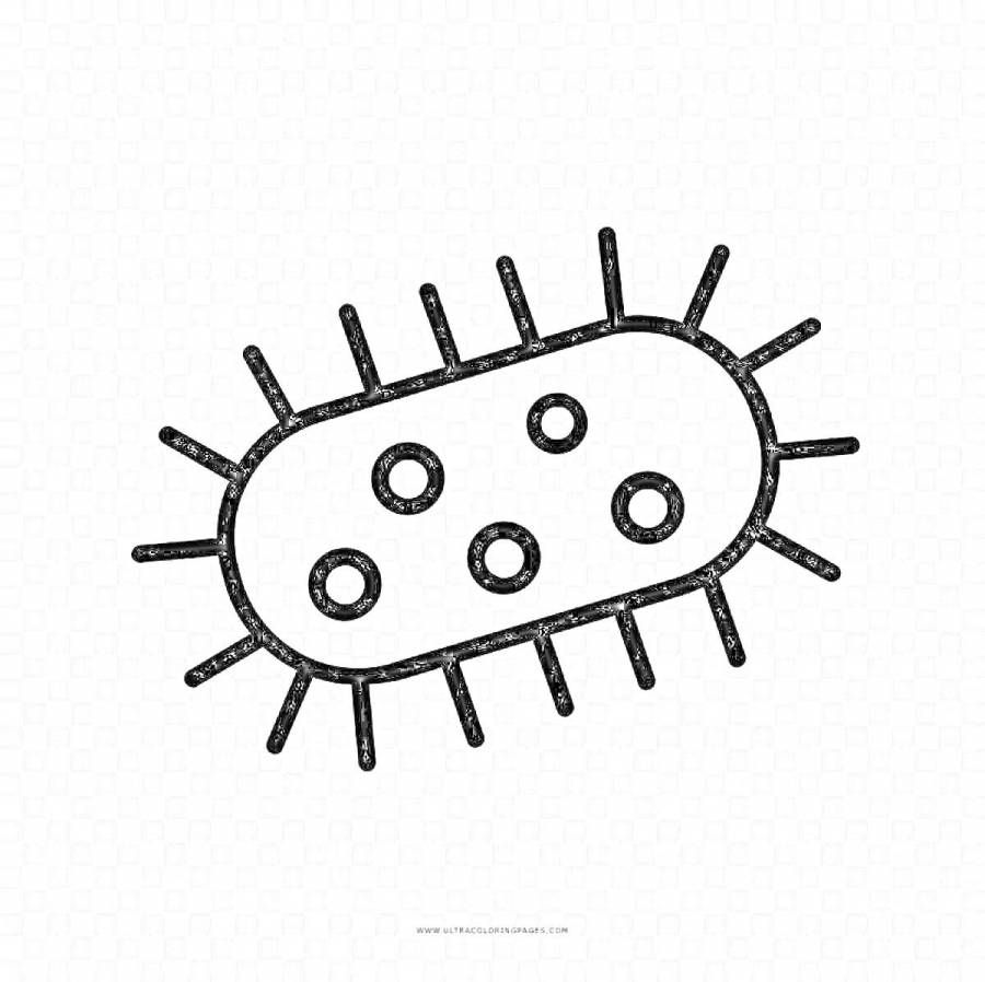Раскраски микроб: 32 раскраски - скачать или распечатать бесплатно