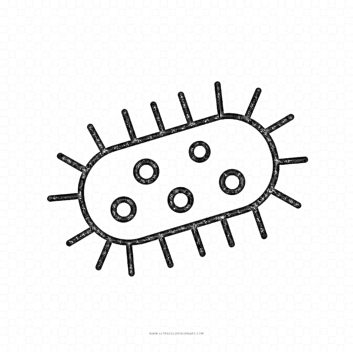 Раскраска Бактерия с волосками и пятью круглыми структурами внутри