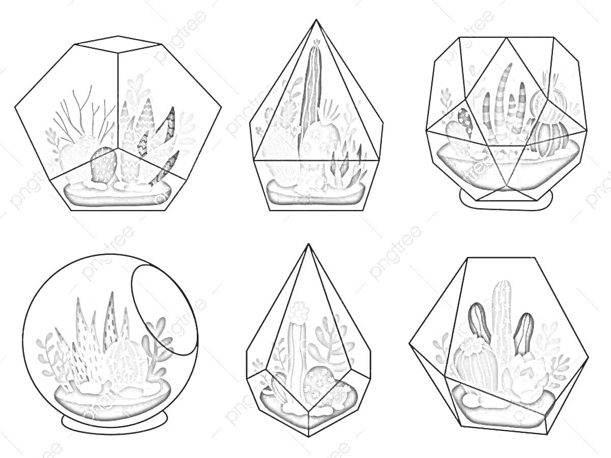 Раскраска Коллекция террариумов с разными формами и растениями, в том числе с кактусами, суккулентами и декоративными камнями