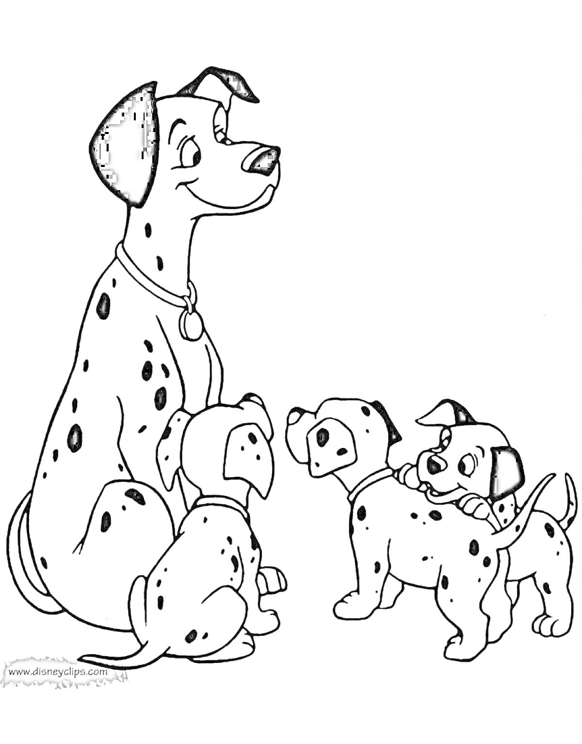 Раскраска Далматинец со щенками