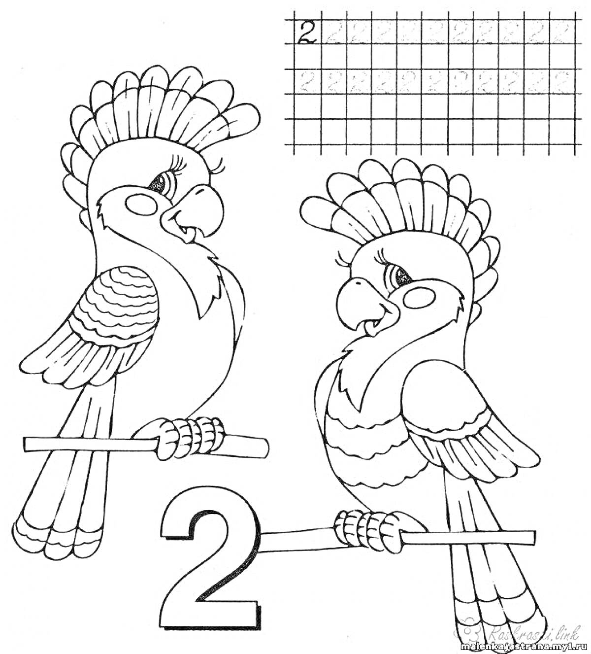 Раскраска Две попугаи на жердочках и цифра 2 на фоне клетчатого узора
