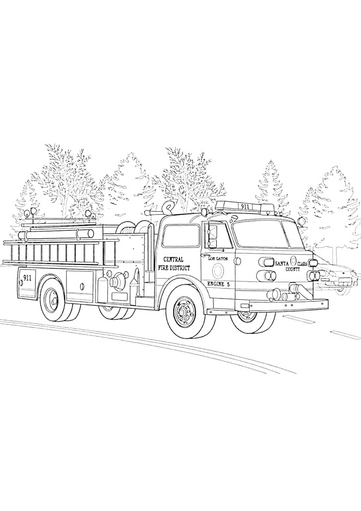 На раскраске изображено: Пожарная машина, Для мальчиков, Деревья, Транспорт, Пожарные, Лес, Пожарная служба