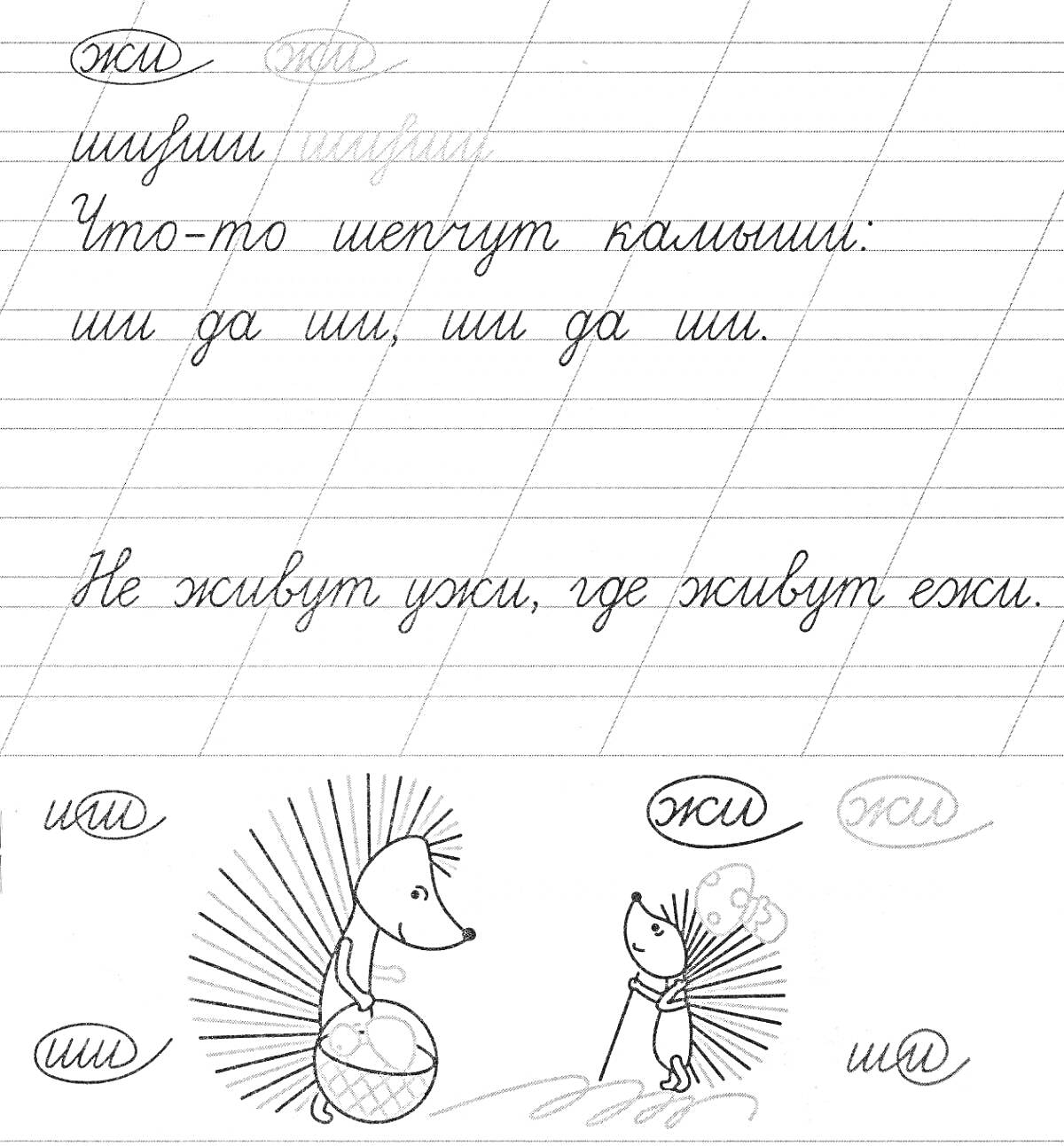 На раскраске изображено: Буквы, Жи, Ши, Ежа, Каллиграфия, 1 класс, Учеба, Прописные буквы