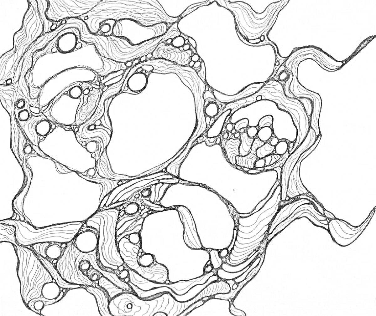 Раскраска Нейрографический рисунок с пересекающимися линиями и круглыми элементами