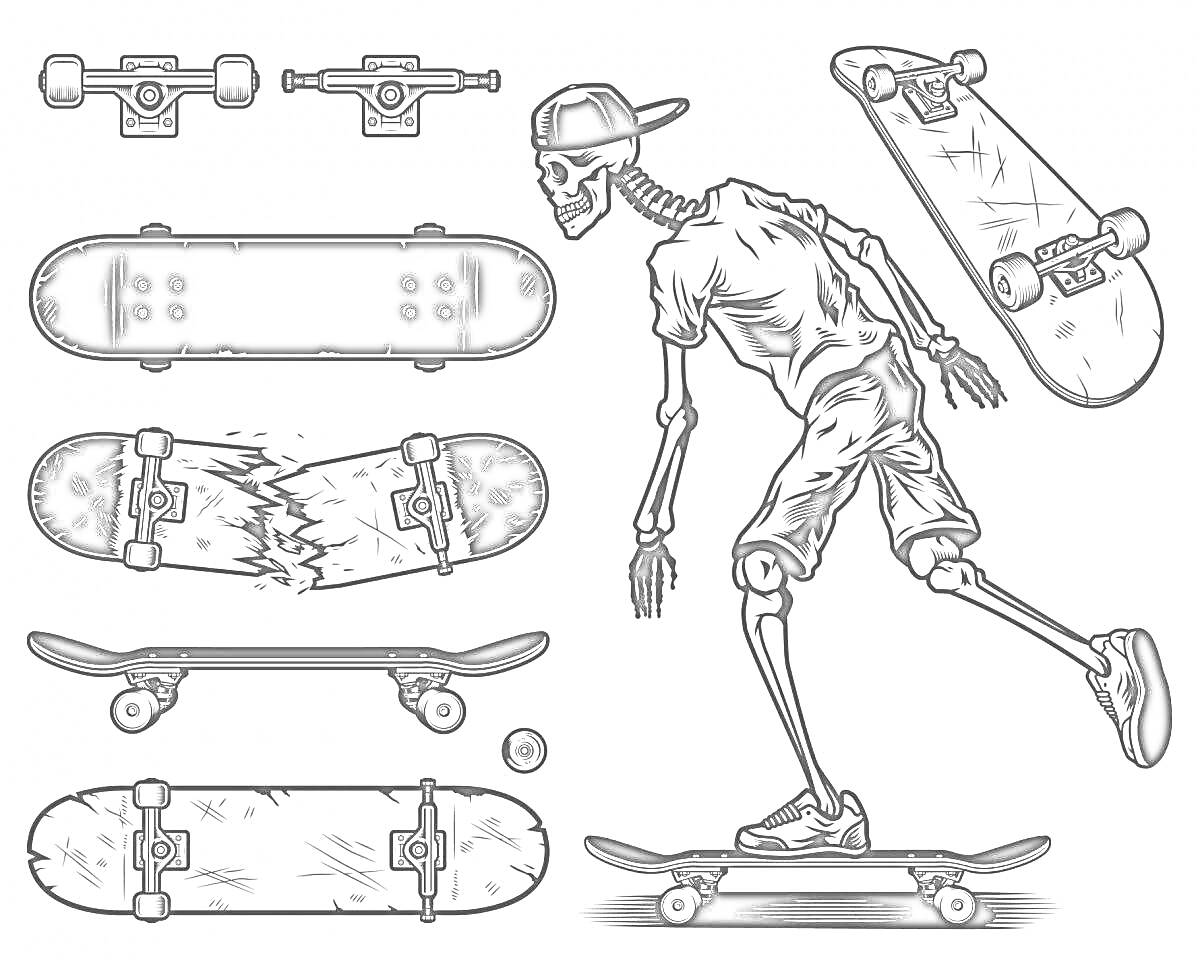 Раскраска Скелет на скейтборде с различными элементами скейтборда