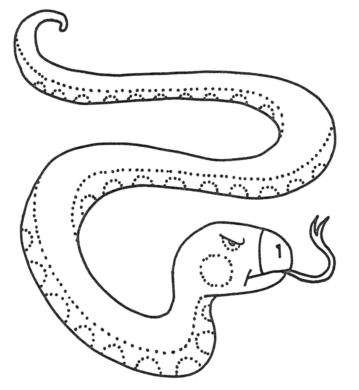 Раскраска Змея с круглыми узорами и раздвоенным языком