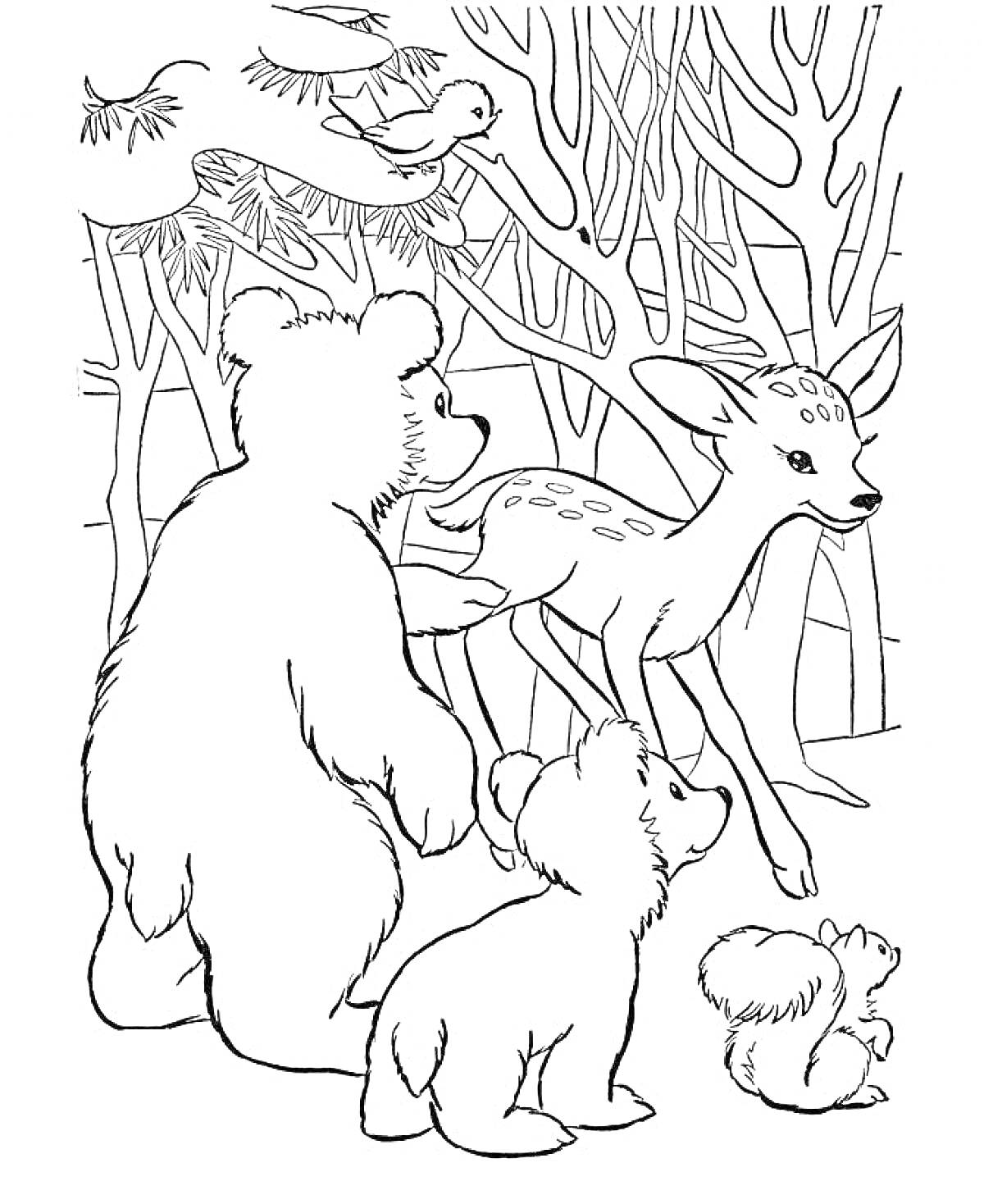 На раскраске изображено: Медведь, Белка, Птица, Лес, Деревья, Лесные животные, Природа, Животные, Олень