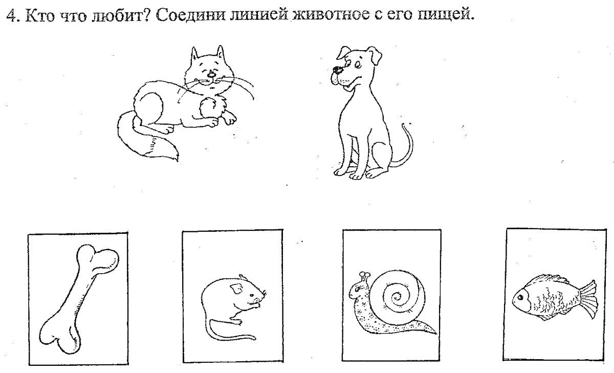 На раскраске изображено: Кот, Собака, Мышь, Улитка, Рыба, Еда, Животные
