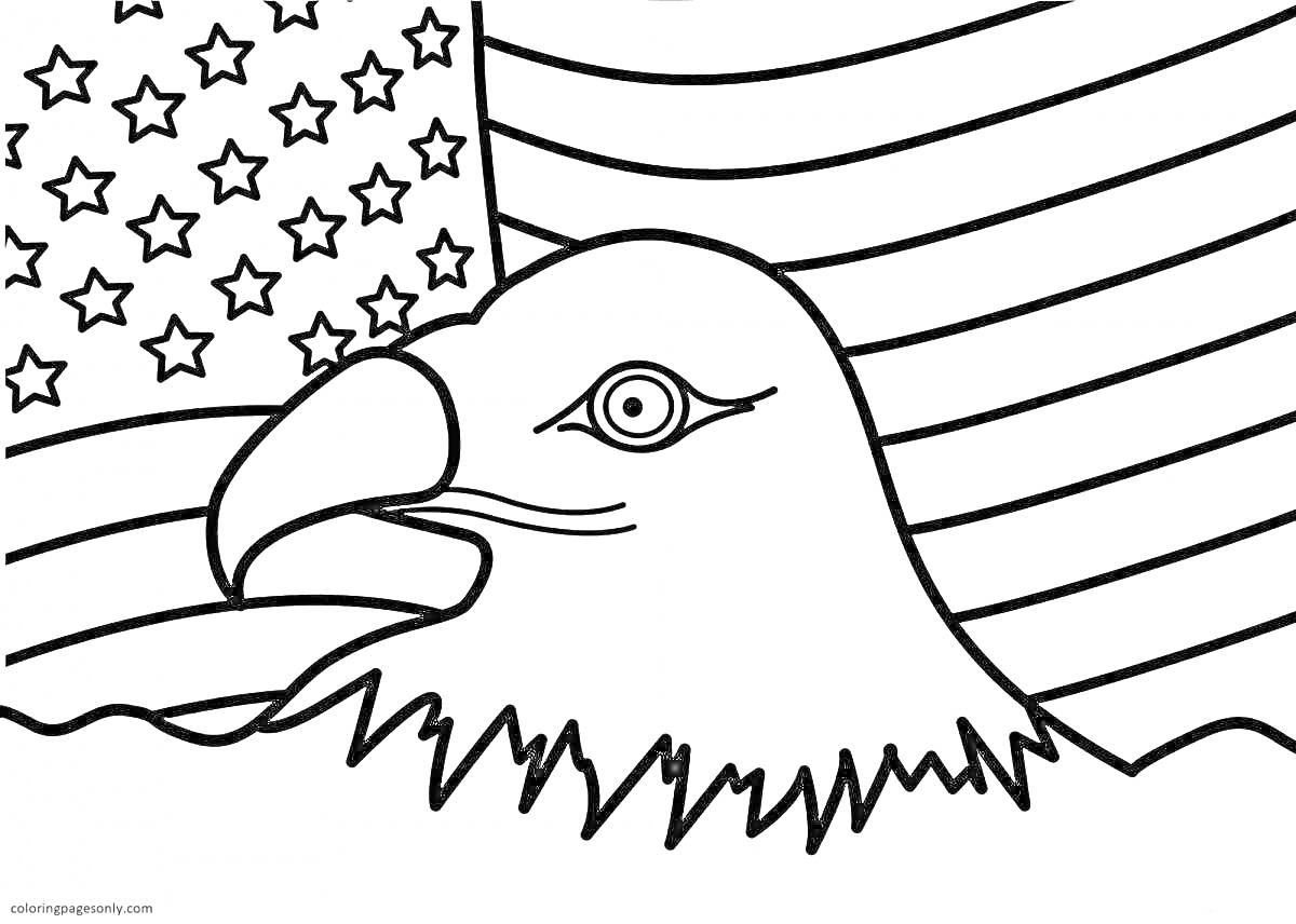 Раскраска Голова орла и флаг США с полосами и звездами