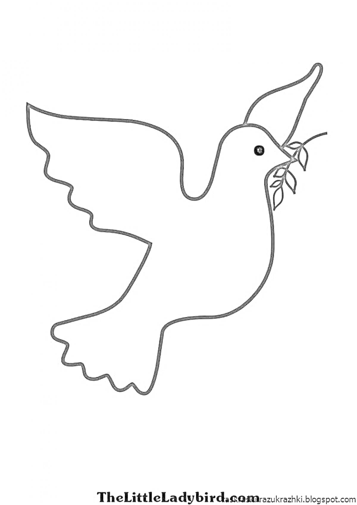 На раскраске изображено: Мир, Птица, Для детей, Ветка, Голуби, Контурные рисунки
