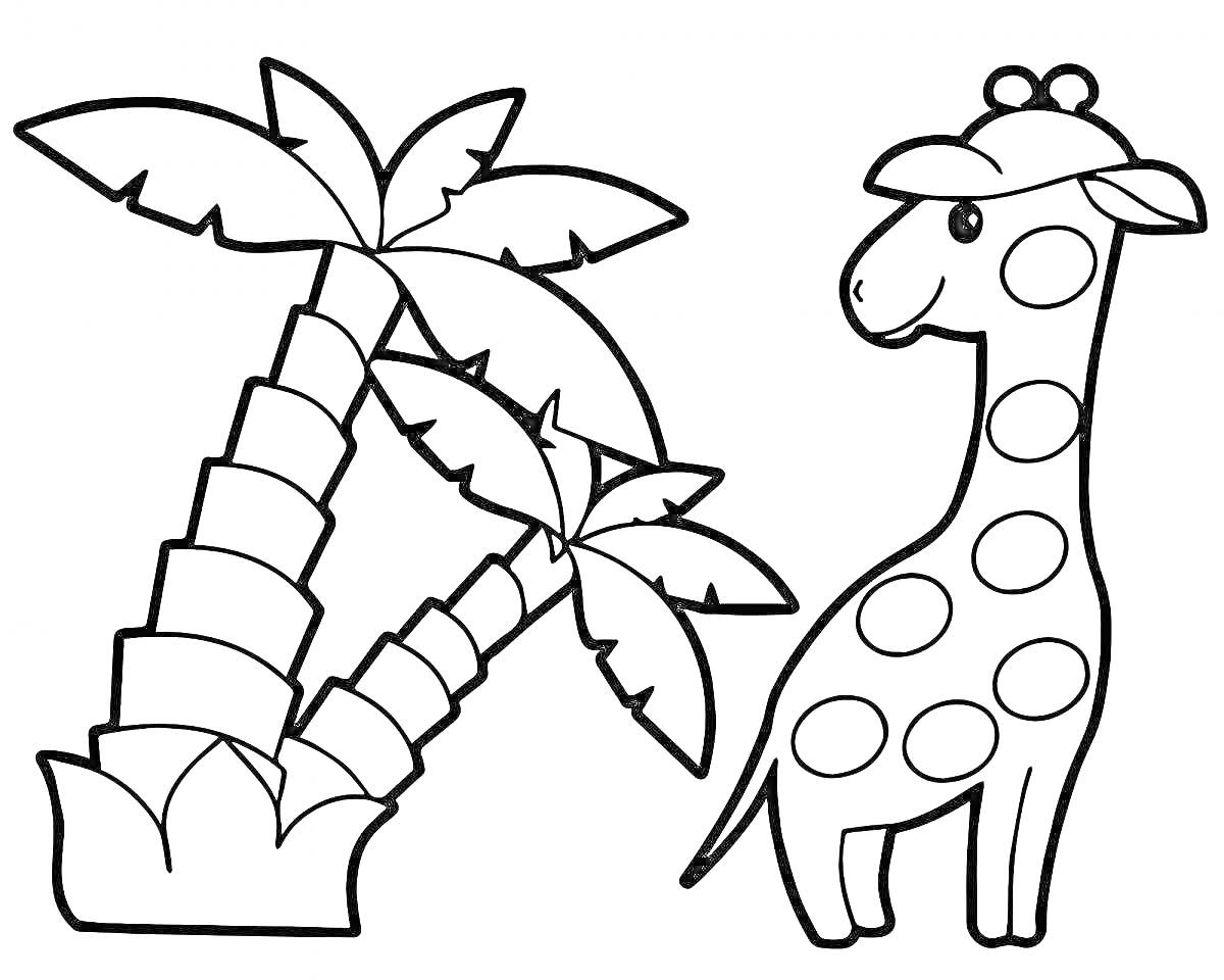 На раскраске изображено: Пальмы, Для детей, Природа, Джунгли, Животные, Веселье, Жирафы