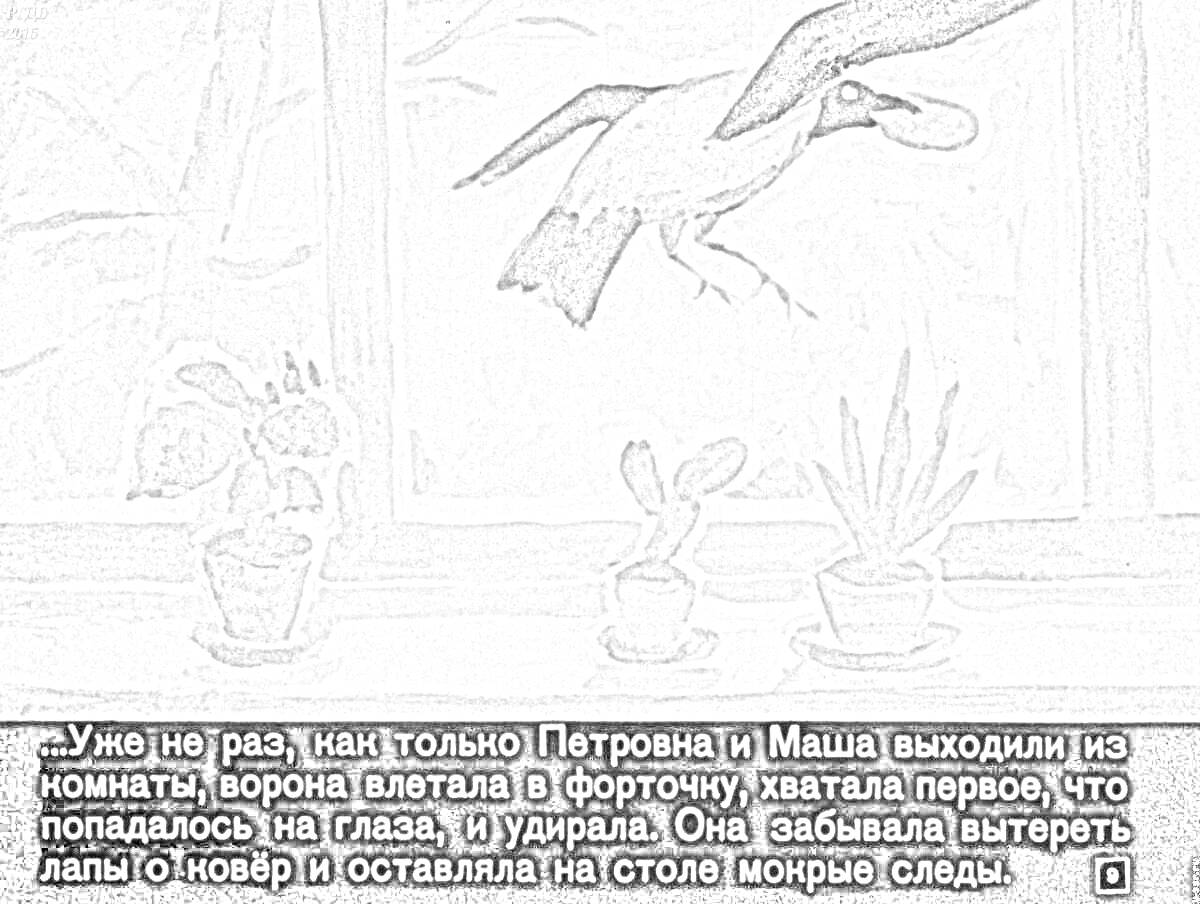 На раскраске изображено: Следы, Текст, Маша, Комната, Цветок в горшке