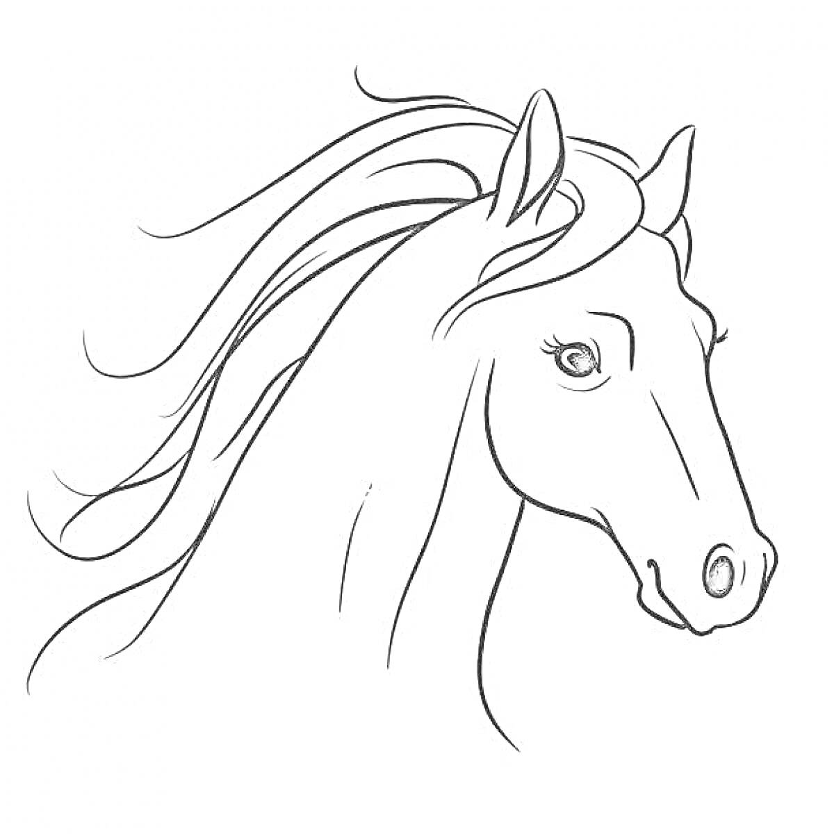 Раскраска Морда лошади с гривающими волосами и выраженными глазами