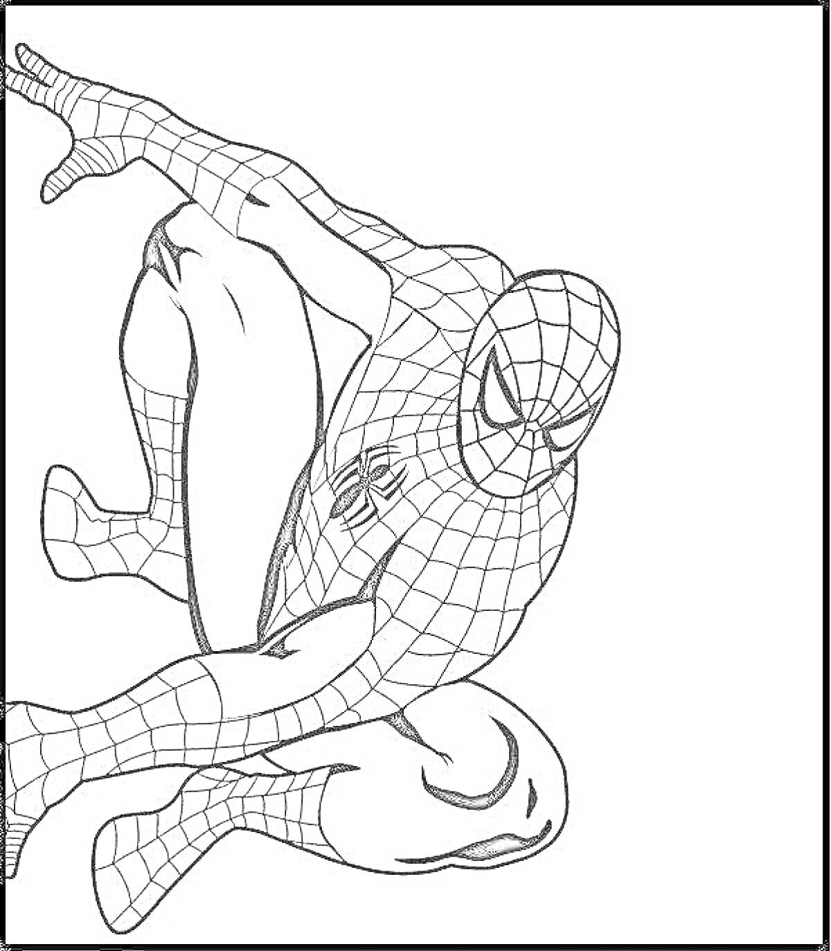На раскраске изображено: Человек-паук, Паутина, Динамичная поза, Комиксы
