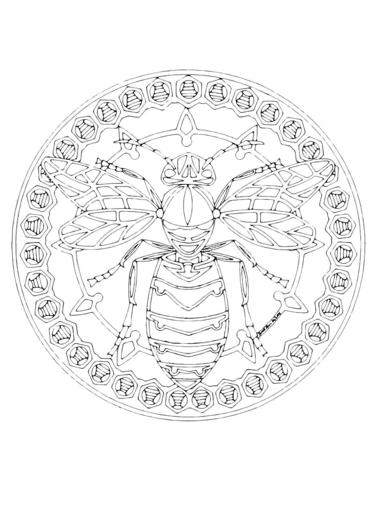 Раскраска Пчела в декоративном круге с шестигранными узорами