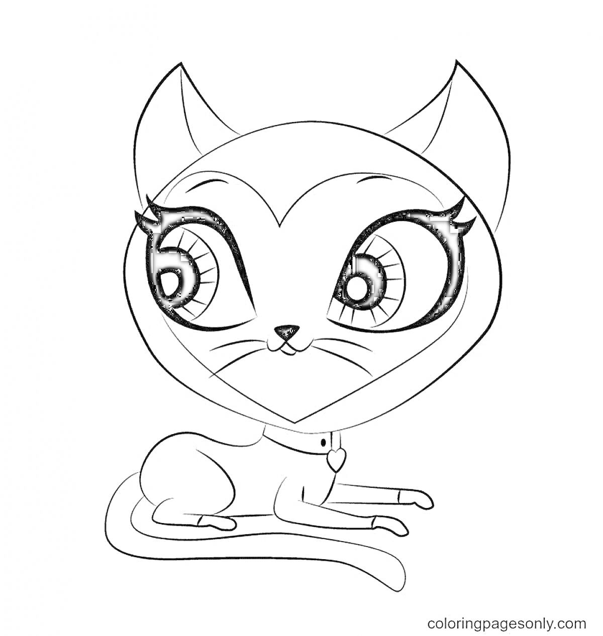 Раскраска Кошка из пет шопа с большими глазами и ошейником, сидящая в позе лежа на лапках