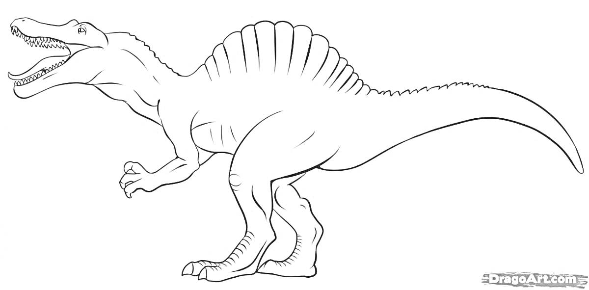 Раскраска Раскраска спинозавра в боковом виде с открытой пастью и гребнем на спине