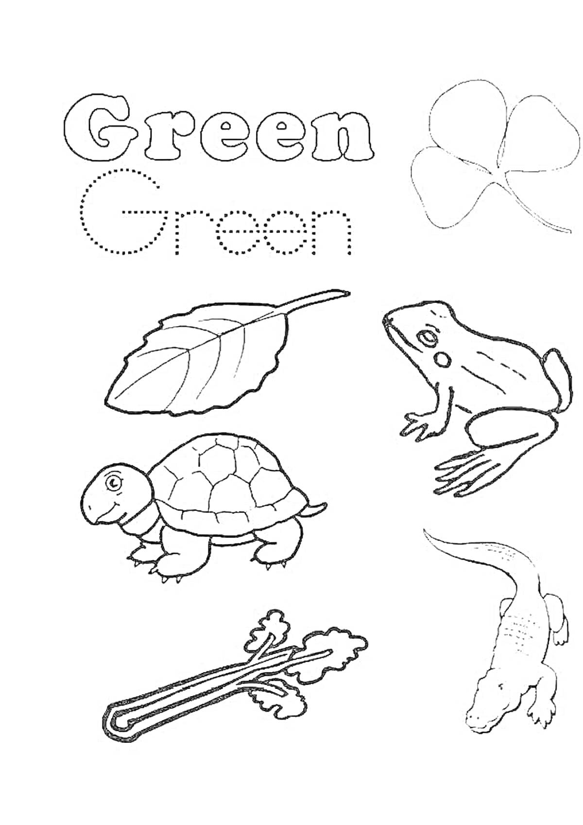 На раскраске изображено: Зеленый, Клевер, Черепаха, Сельдерей, Крокодил, Обучение