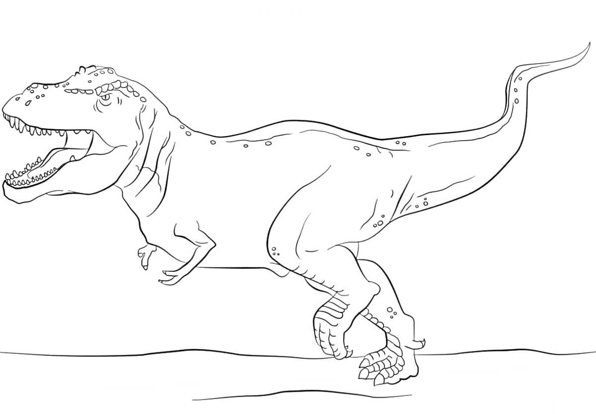 Раскраска Тираннозавр Рекс в движении на равнине