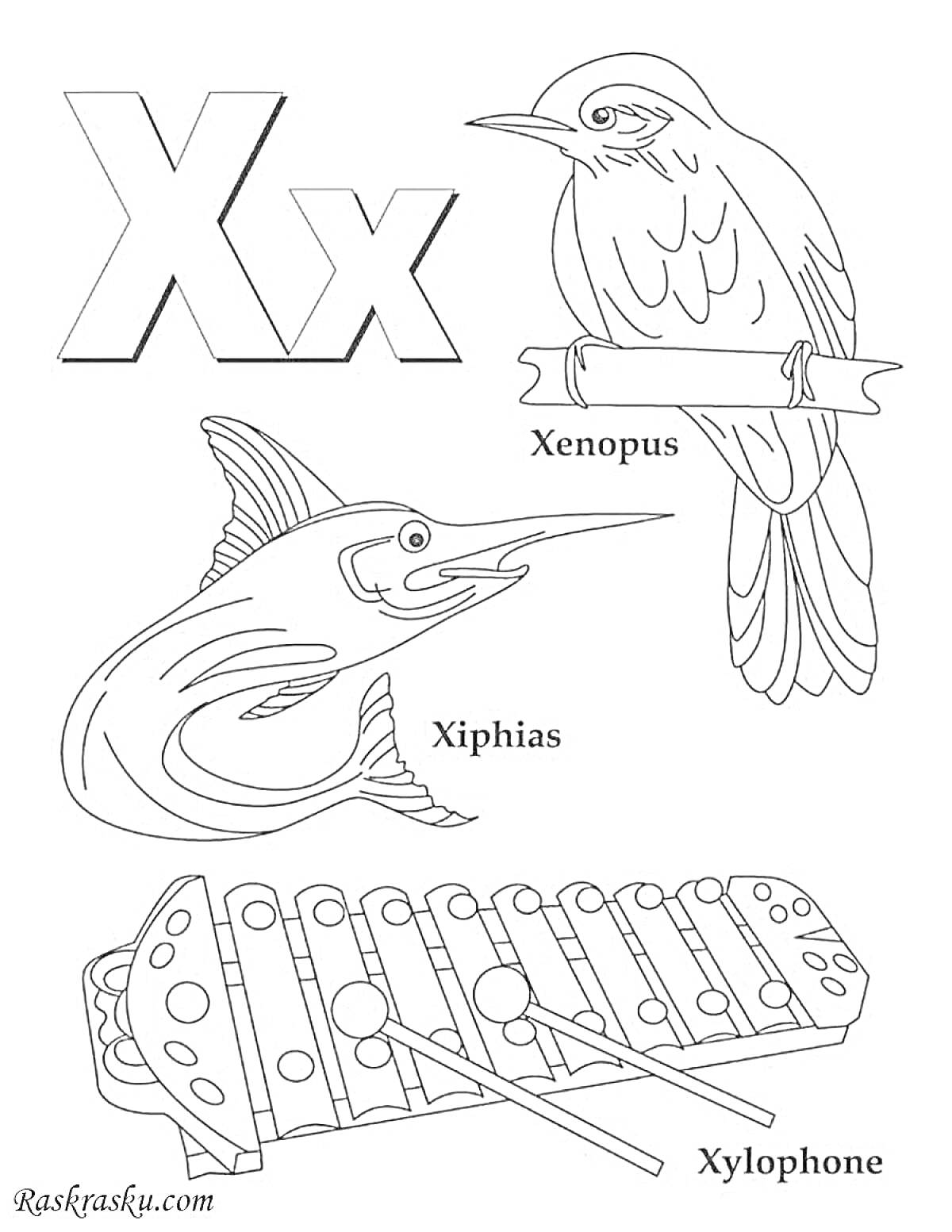 Раскраска Буква X: ксенофор, рыба-меч и ксилофон