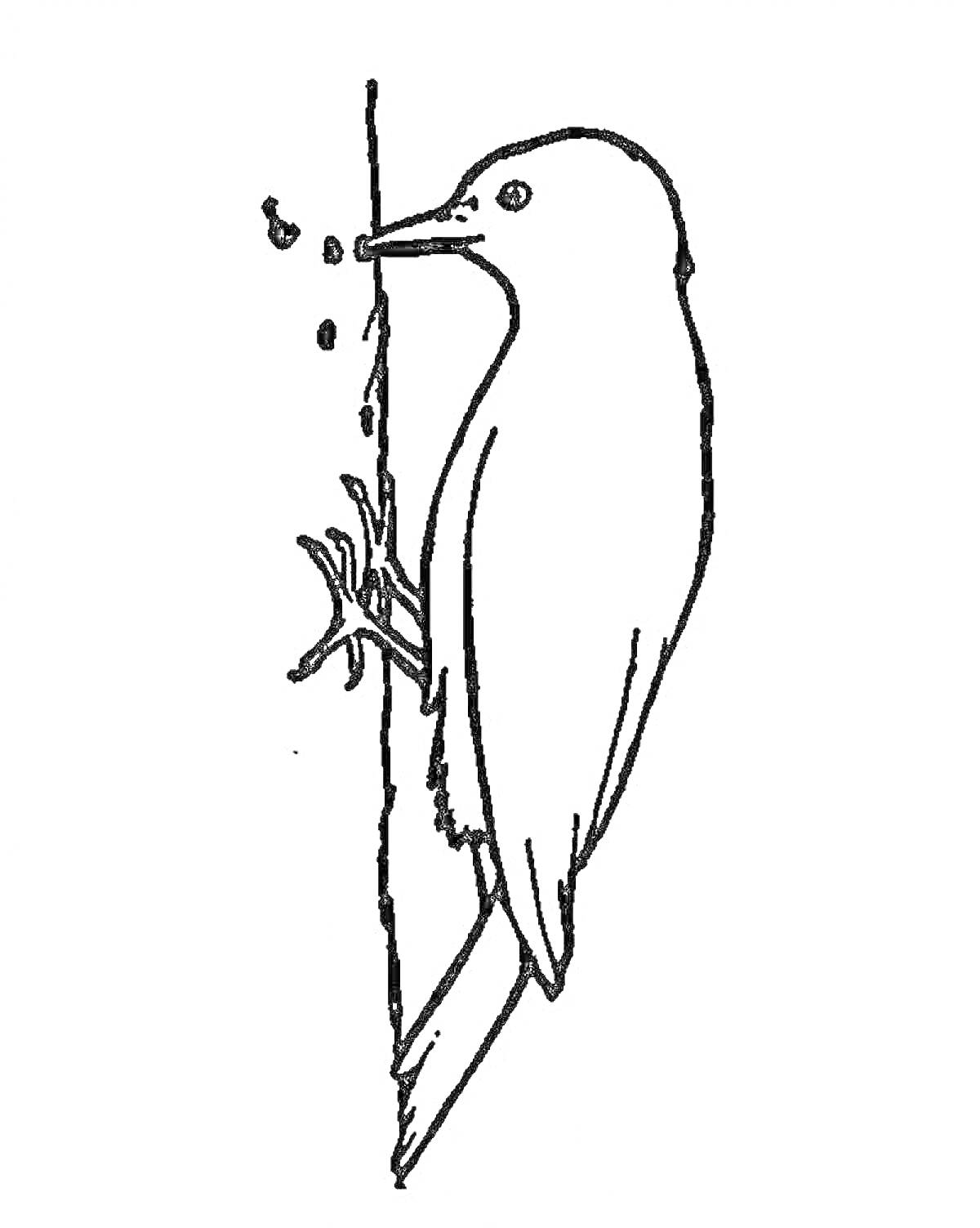 Раскраска Дятел сидит на стволе дерева и червячки