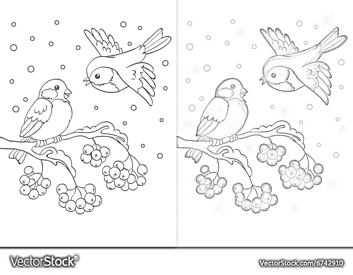 Раскраска Снегири на ветке рябины зимой с падающим снегом