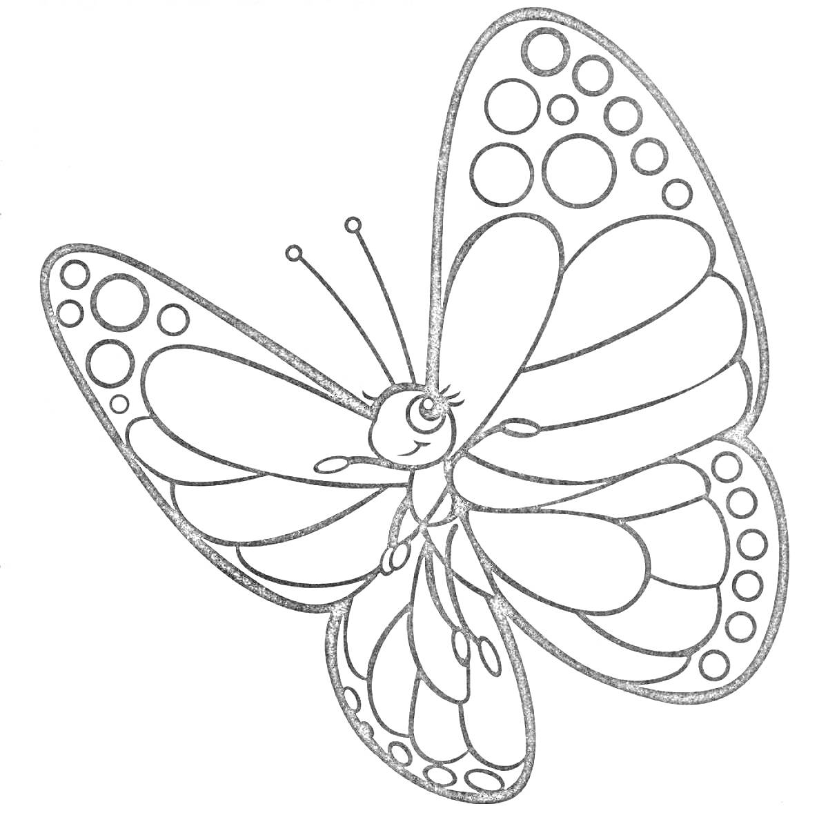 Бабочка с узорами и точками на крыльях