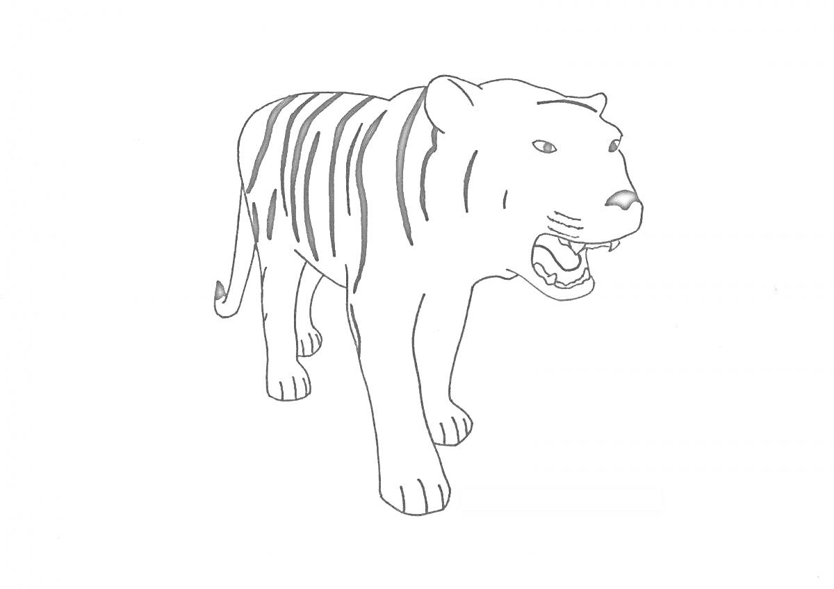 На раскраске изображено: Тигр, Без полосок, Открытая пасть