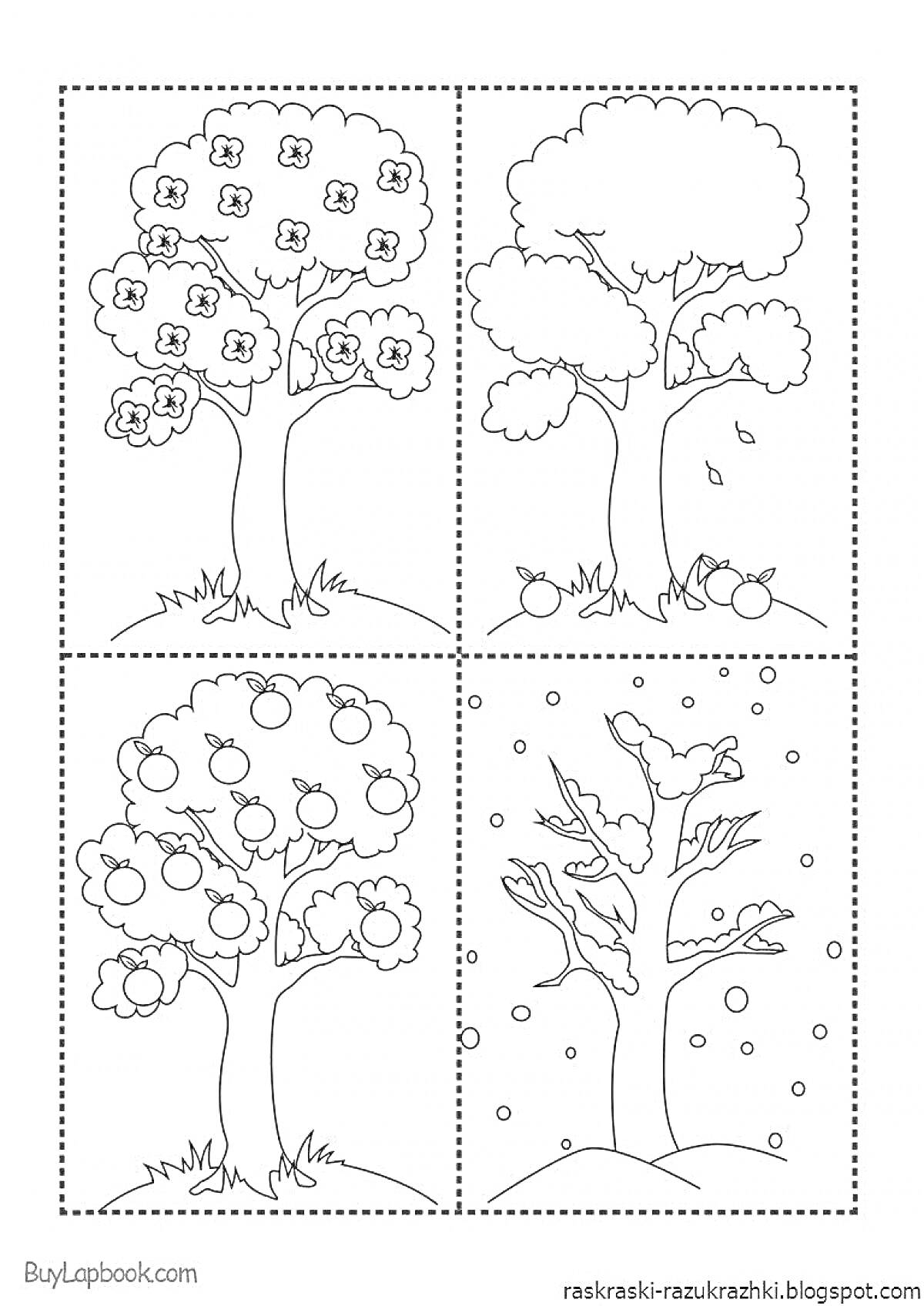Раскраска Дерево в разные времена года: весна с цветами, лето с зелёными листьями, осень с падающими листьями и яблоками, зима со снегом и голыми ветвями