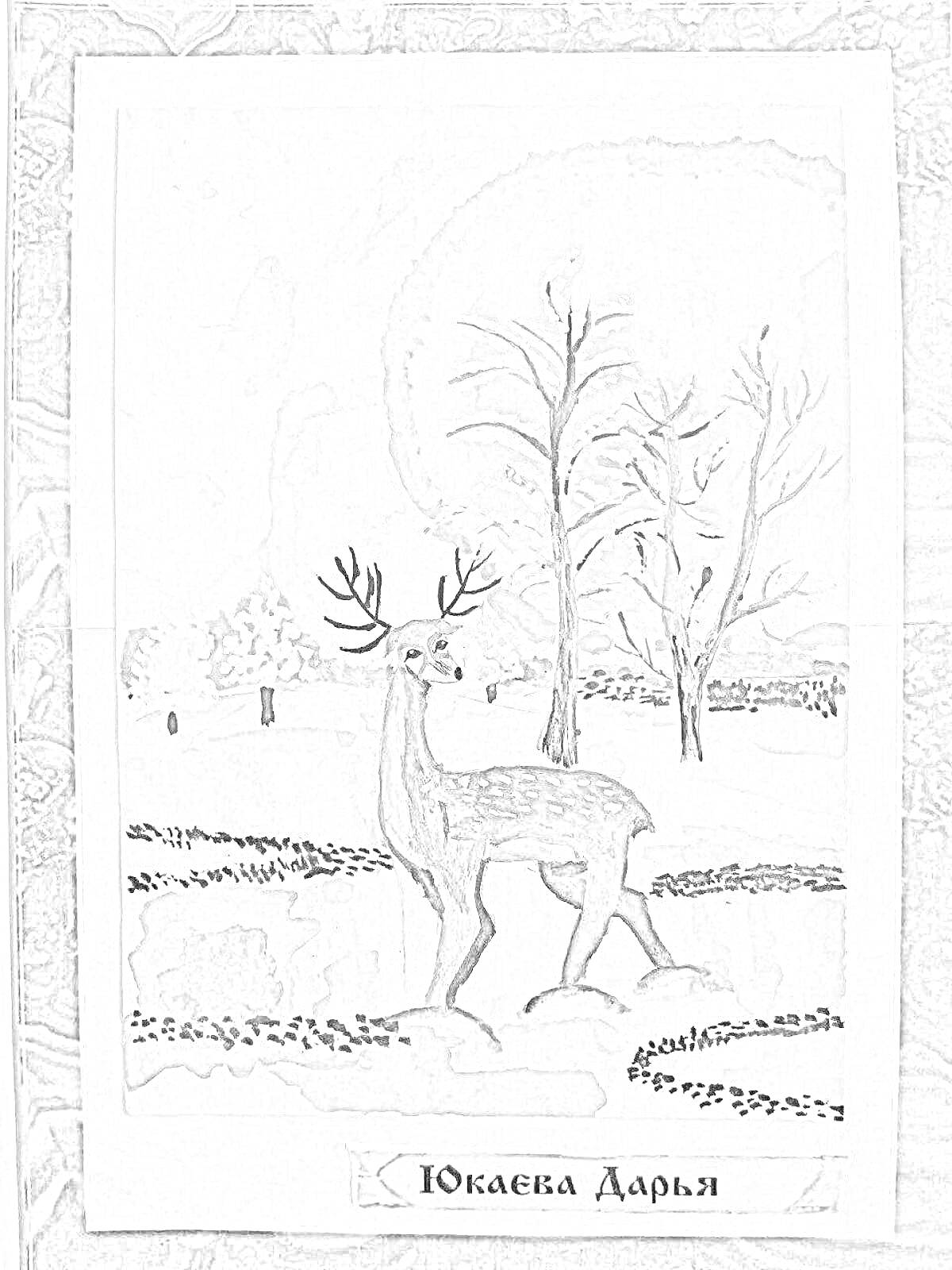 Раскраска Олень под деревьями на фоне леса зимой