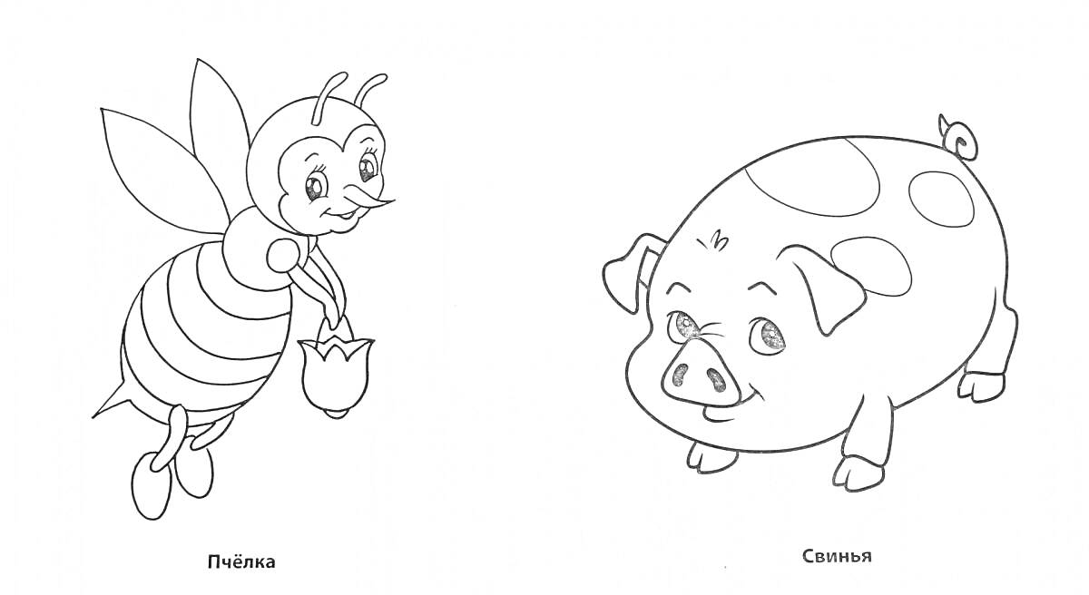 Раскраска Пчела с цветком и свинка с пятнами