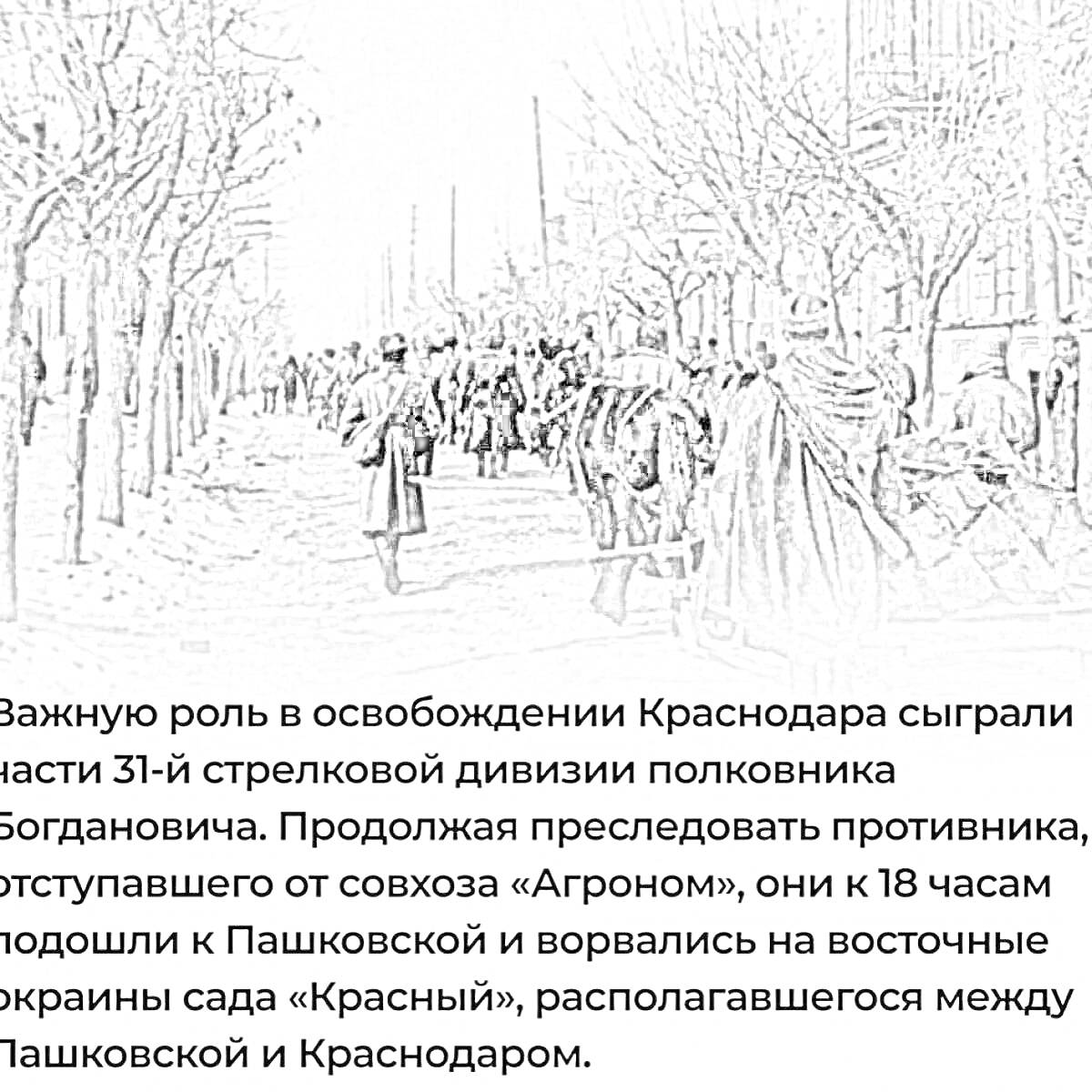 Раскраска Освобождение Краснодара: Силы 31-й стрелковой дивизии на улицах, деревья вдоль дороги, толпа людей, текст на русском языке