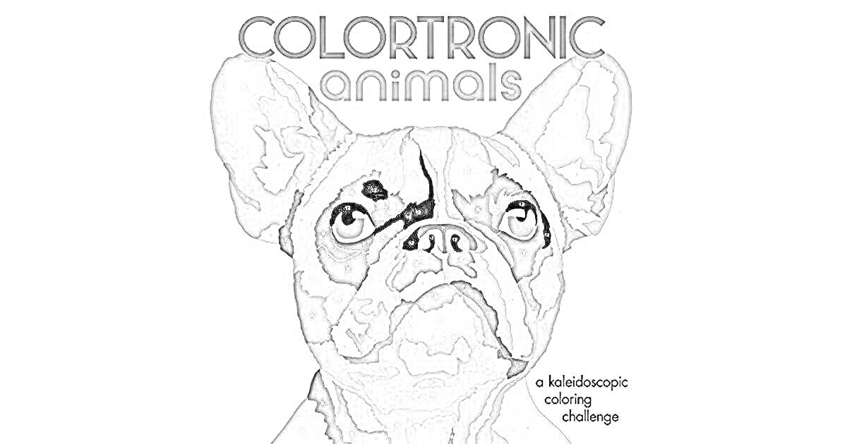 Раскраска Colortronic animals, собака