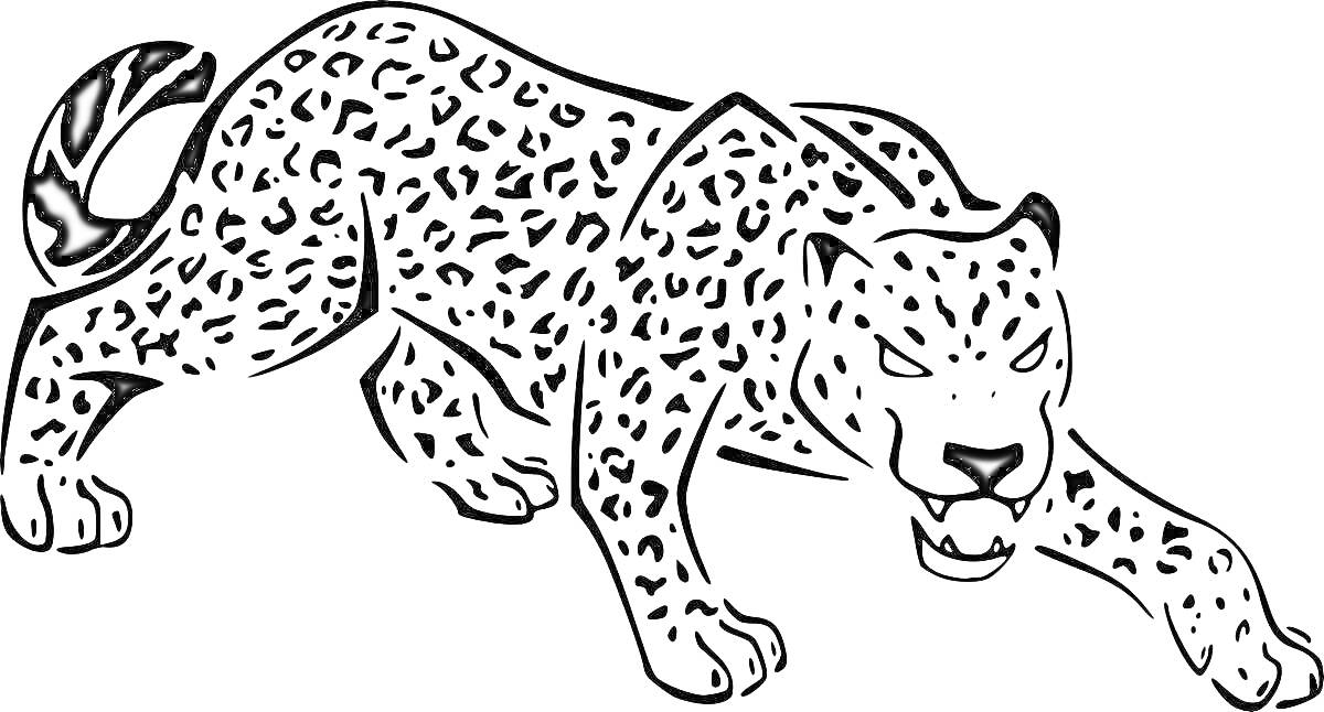 Раскраска амурского леопарда в движении со всеми пятнами и деталями
