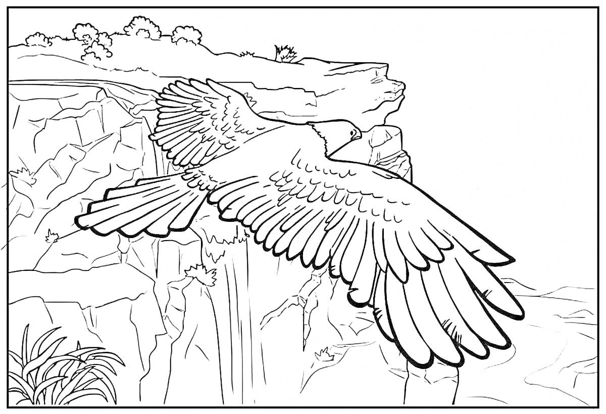 Коршун, летящий над скалой с растительностью и растущими деревьями