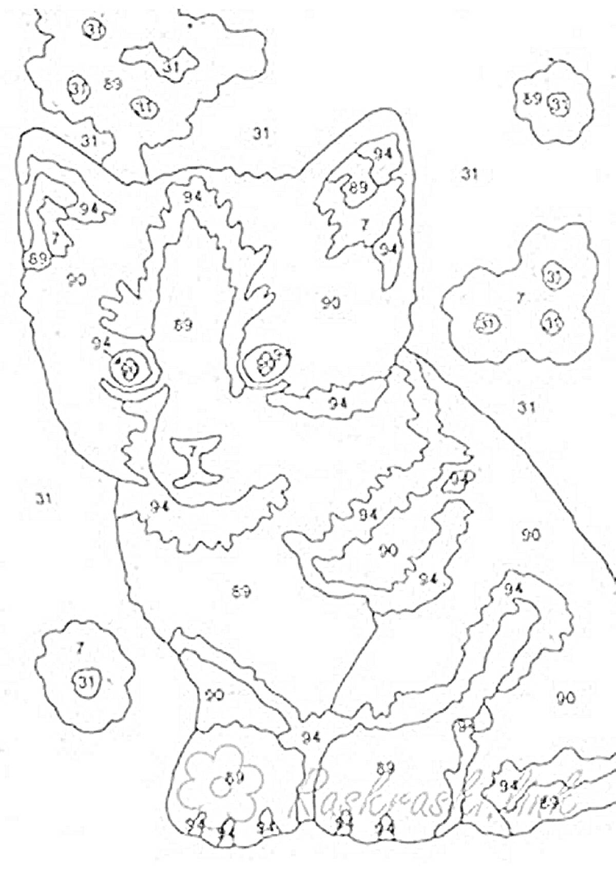 Раскраска Раскраска по номерам с изображением котёнка и цветочных элементов