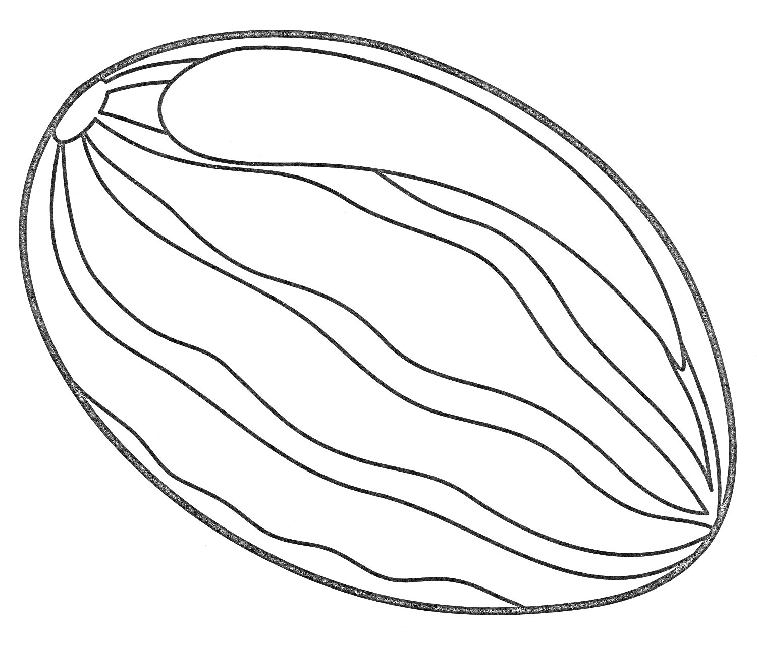 Раскраска Дыня с полосками для раскрашивания