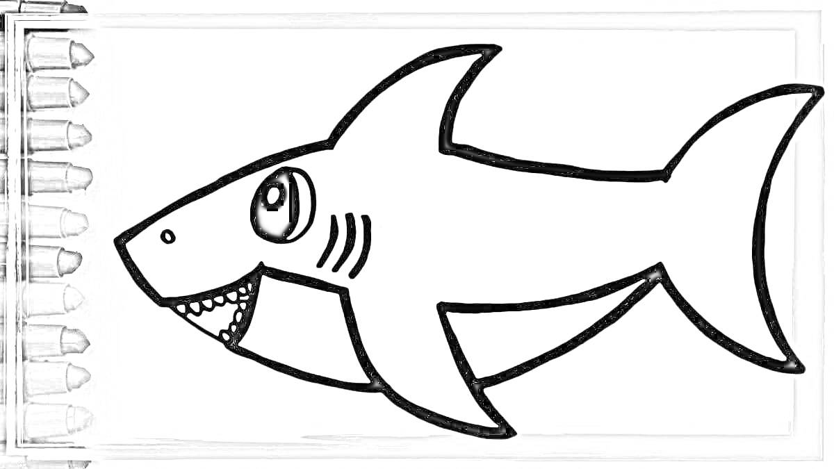 Раскраска Раскраска с акуленком и набором цветных карандашей