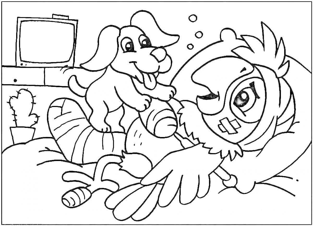 Раскраска Собака и сова с перебинтованной лапой на кровати, телевизор и растение на заднем фоне