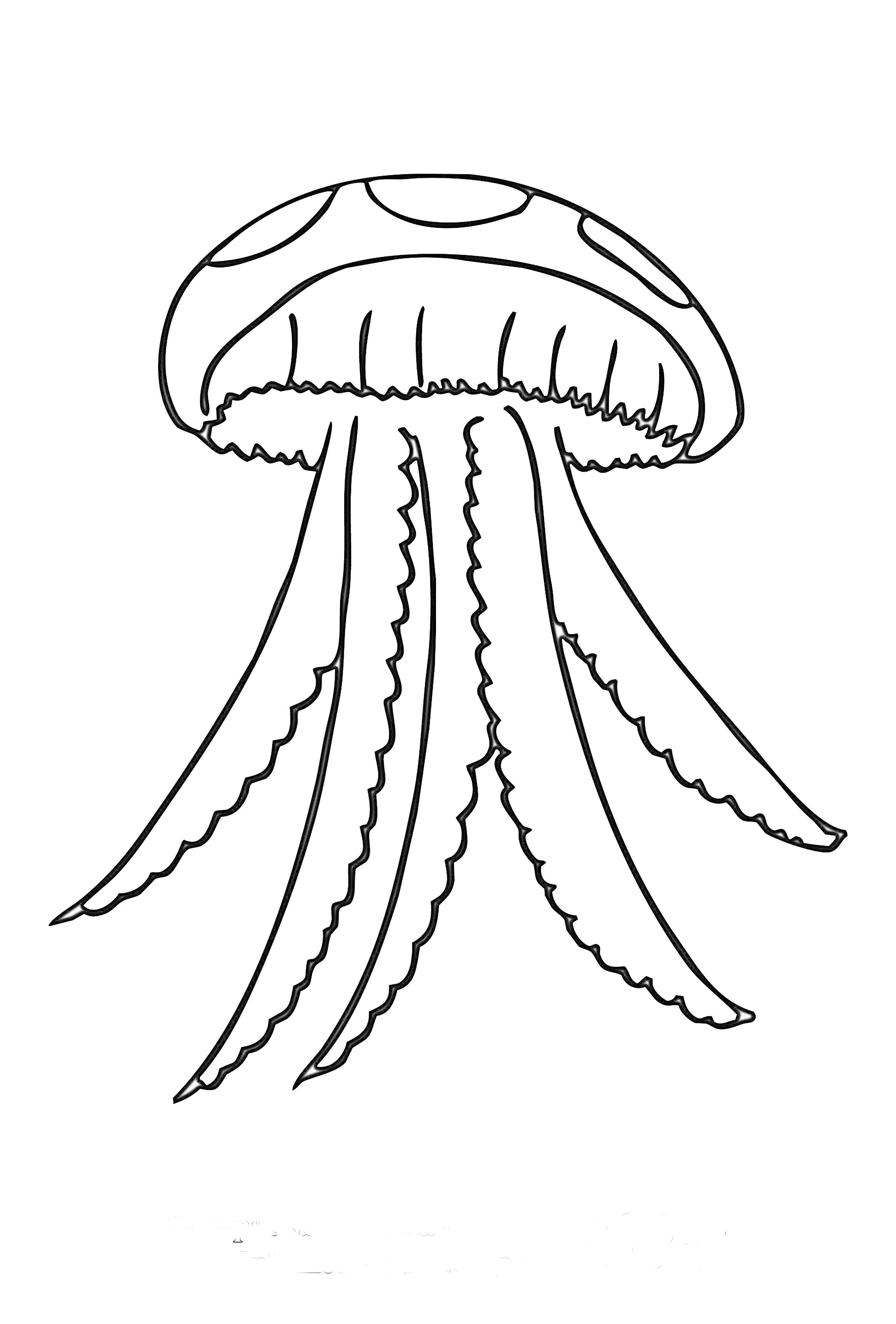 Раскраска Медуза с шестью щупальцами и узорами на теле
