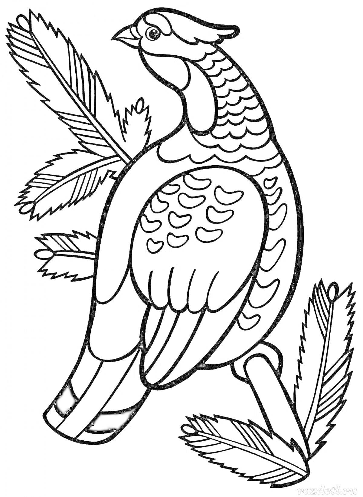 На раскраске изображено: Глухарь, Птица, Ветка, Листья, Для детей, Природа