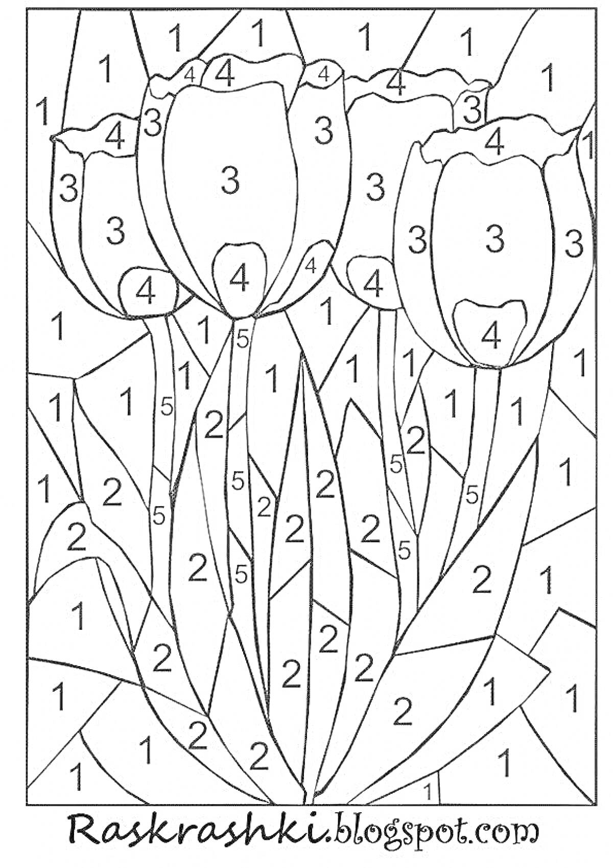 Раскраска Раскраска по цифрам с тремя тюльпанами и листьями