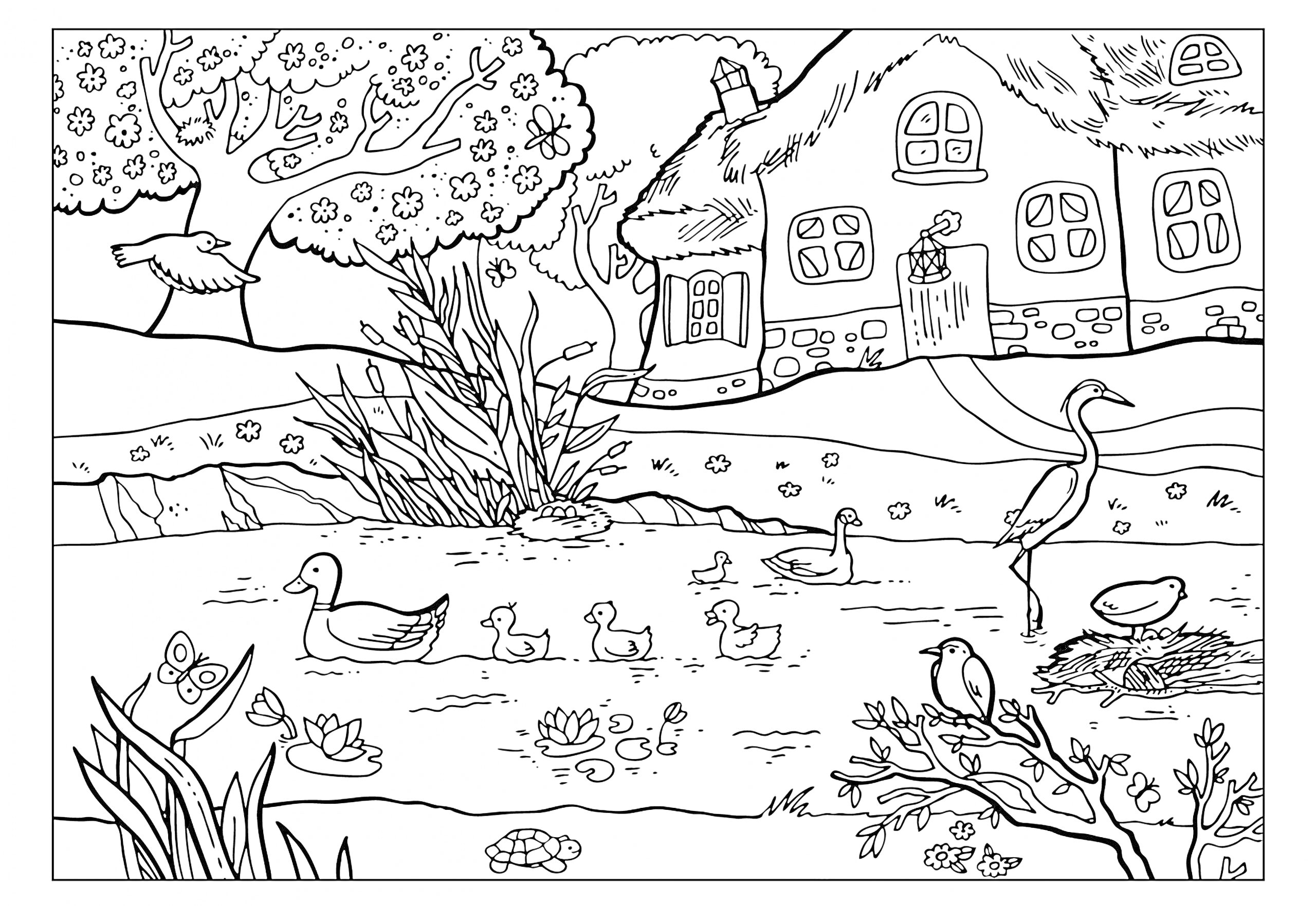 Раскраска Пруд у деревенского дома с утками, гусем, птицей в гнезде на дереве, домом с соломенной крышей, ветряной мельницей, деревьями, цветами и камышами