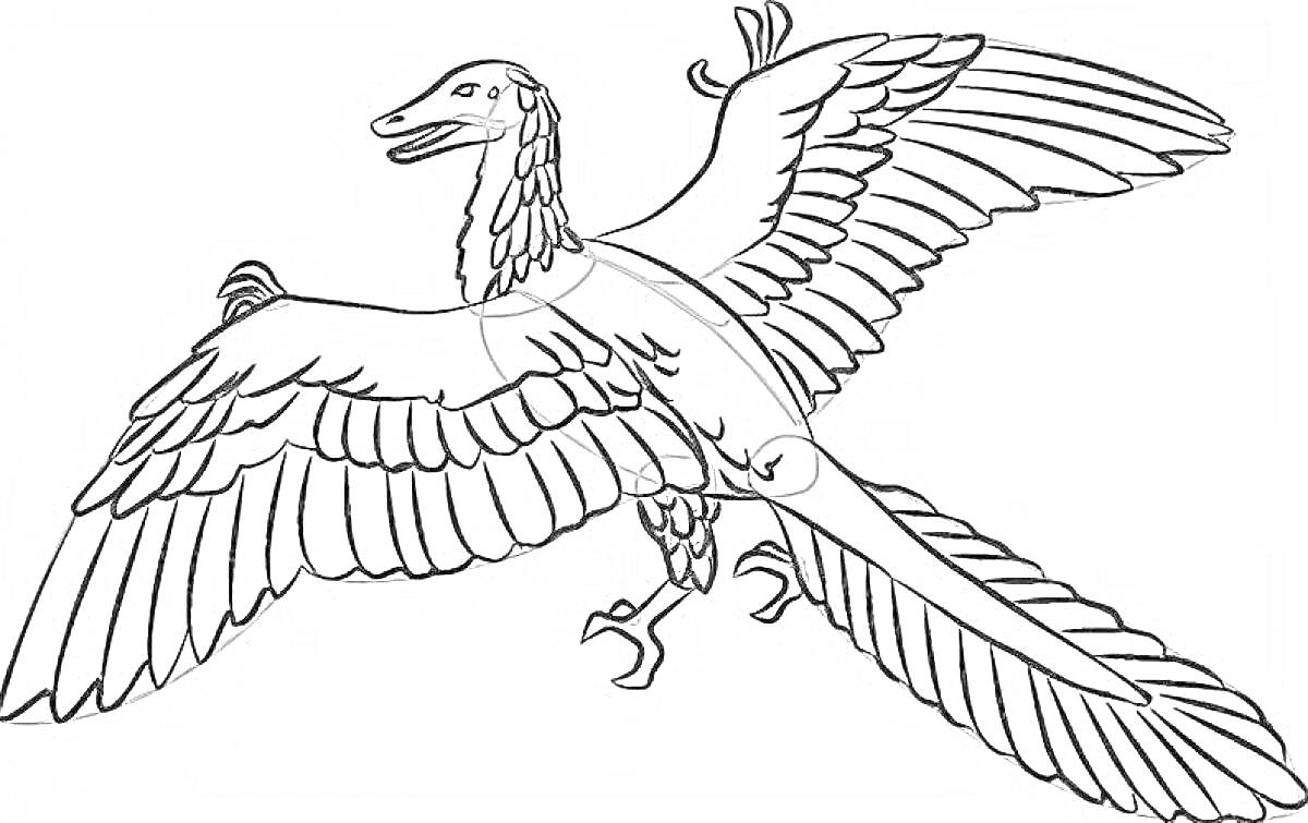 На раскраске изображено: Археоптерикс, Динозавр, Птица, Крылья, Перья, Хвост, Контурные рисунки, Древние животные