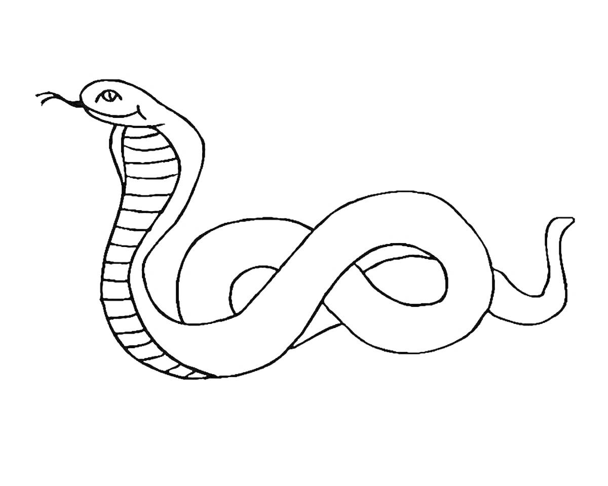 На раскраске изображено: Змея, Рептилии, Полосы, Голова, Для детей, Животное