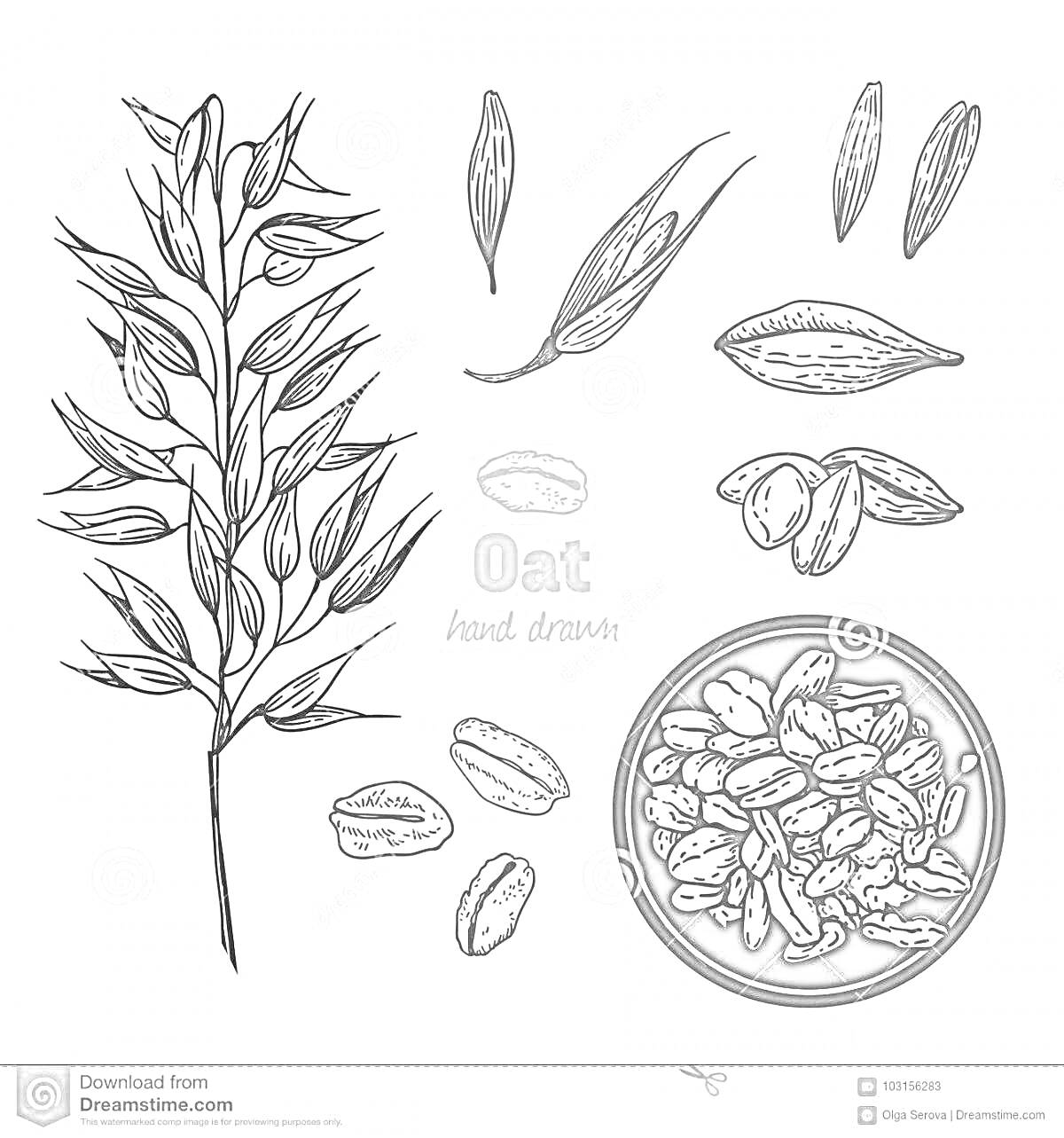 На раскраске изображено: Для детей, Овес, Зерна, Овсянка, Миска, Колос, Зерновые культуры, Злаки